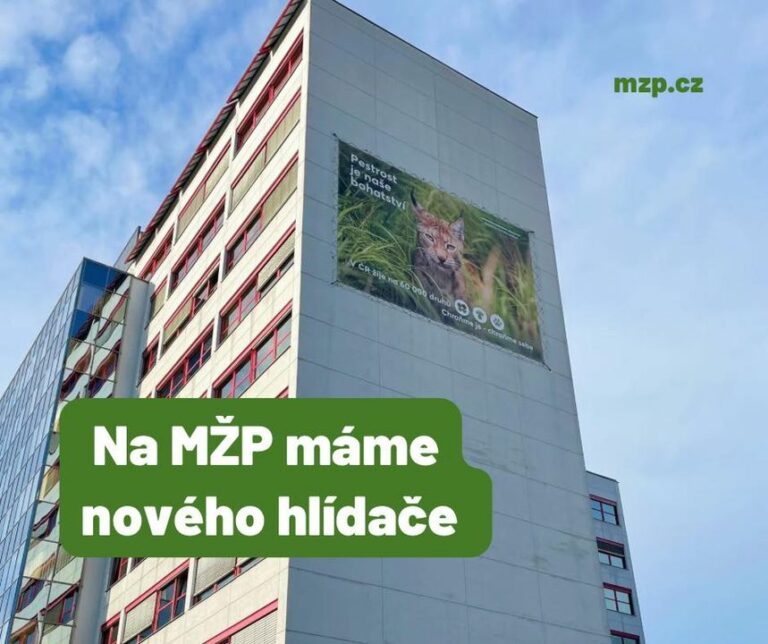 Tipnete si kolik druhů rostlin, hub a živočichů máme v ČR? Je jich až 60 000!
Na přírodě nám záleží a důležitosti druhové rozman…