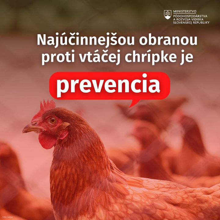 📢 VTÁČIU CHRÍPKU HLÁSIA TAKMER VŠETKY KRAJINY EÚ ⚠

Štátna veterinárna a potravinová správa SR zaznamenala od začiatku roka 8 pr…