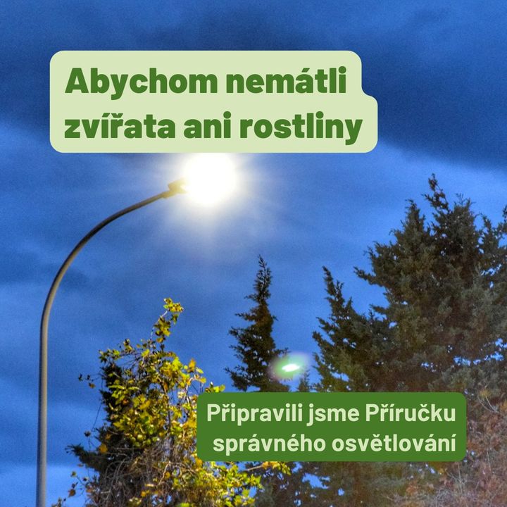 💡 Silné umělé osvětlení v noci má velký vliv na změny v hormonálních rytmech kvůli narušené funkci cirkadiánního systému živočic…