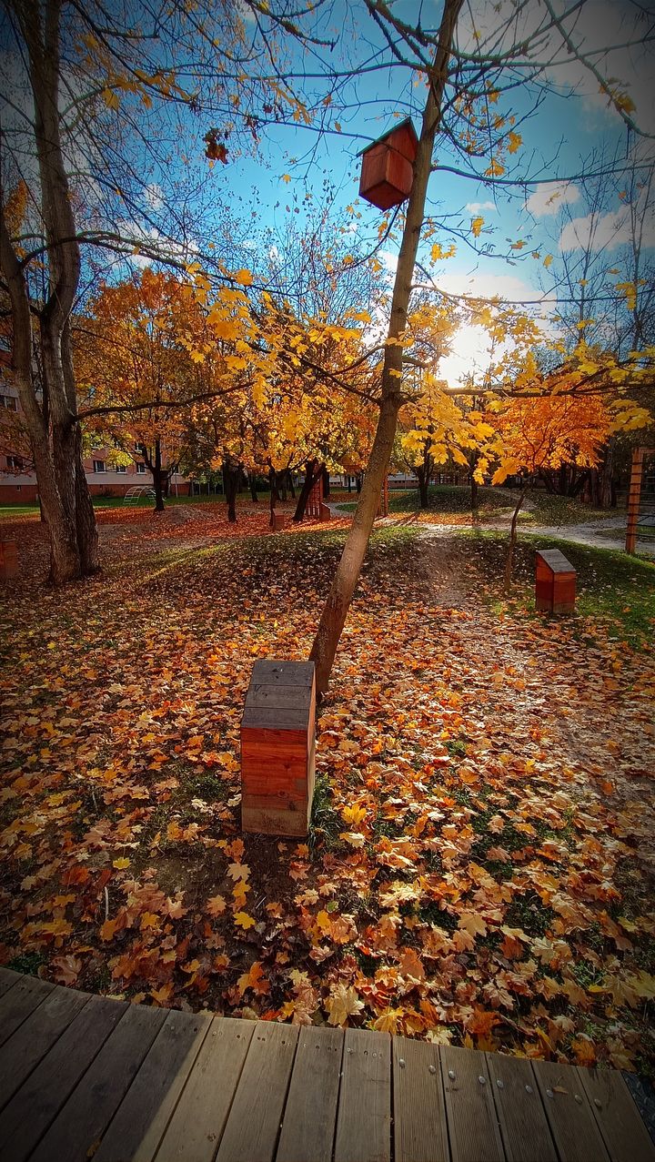 JESENNÝ POZDRAV Z VLČINIEC 🍁

foto: Tomáš Dupkala