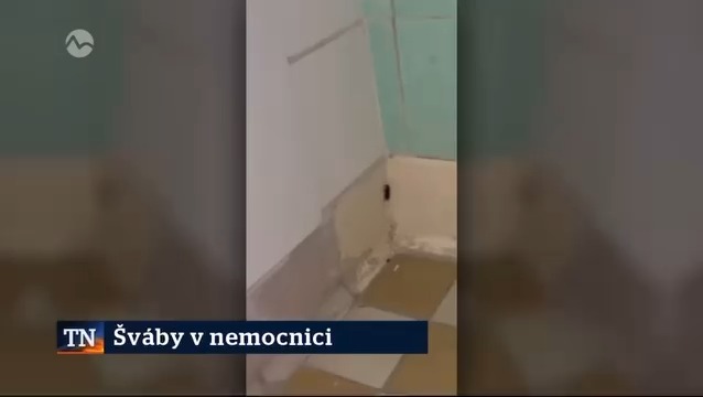 🪳🤢 Ľudia majú šváby v nemocniciach, no hlavne, že sebe vláda zvýšila platy